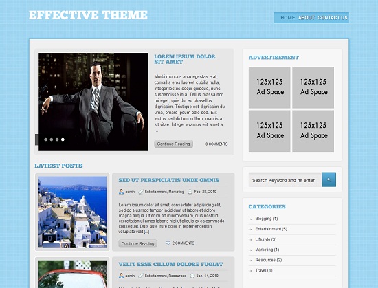 Effective 35 Free and Professional looking WordPress Themes