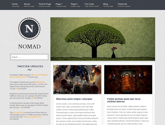 Nomad 35 Free and Professional looking WordPress Themes