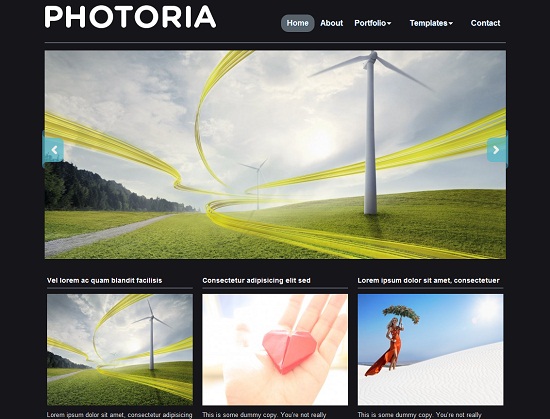 Photoria 35 Free and Professional looking WordPress Themes