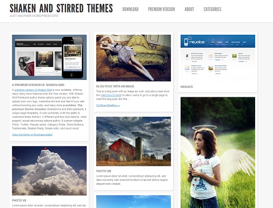 ShakenGrid 35 Free and Professional looking WordPress Themes