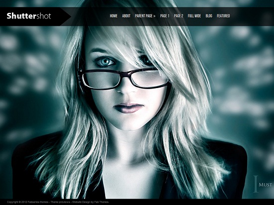 Shuttershot 35 Free and Professional looking WordPress Themes