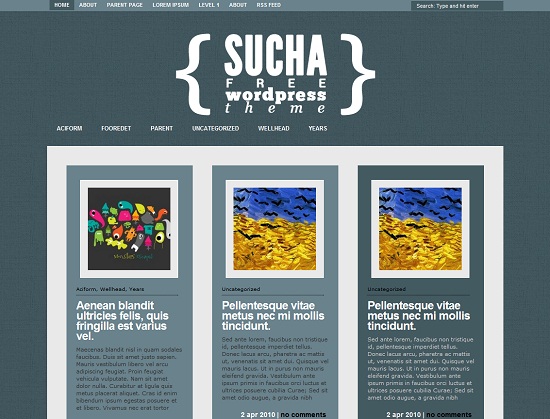 Sucha 35 Free and Professional looking WordPress Themes