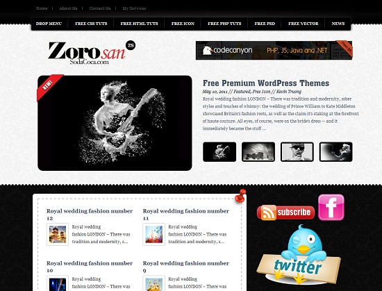 ZoroSan 35 Free and Professional looking WordPress Themes