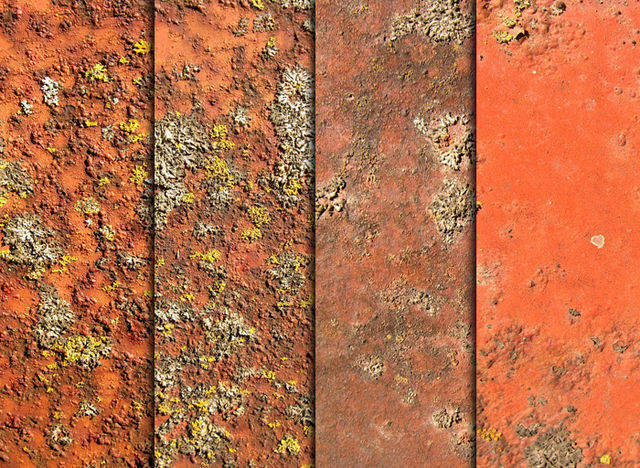 Rust, Moss, & Metal Textures