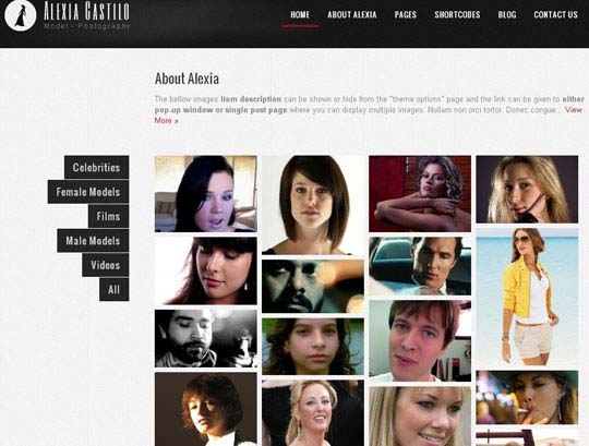 free wordpress themes 2012