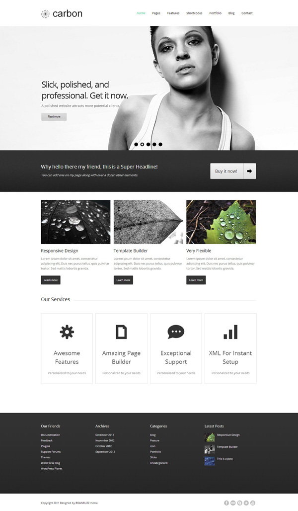 carbon 25 Excellent Premium WordPress Themes of December 2012