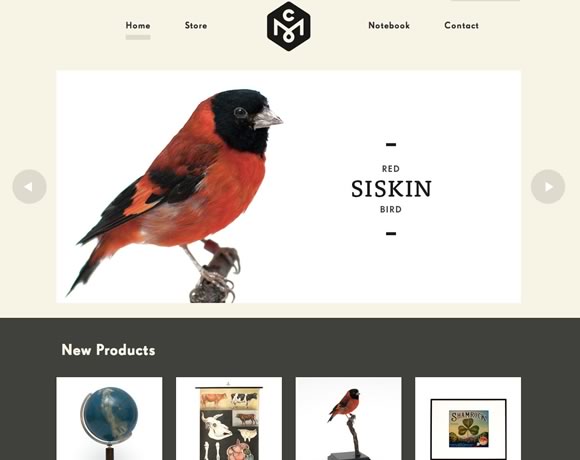 21 Great Examples of Big Images in Web Design