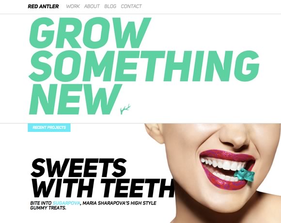 21 Great Examples of Big Images in Web Design