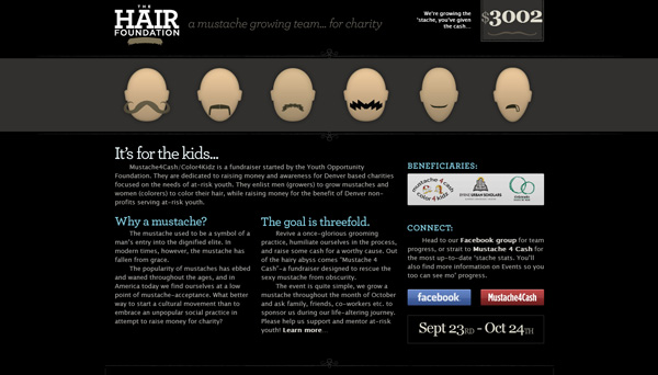 10 the hair foundation 30 Inspiring Non Profit Website Designs