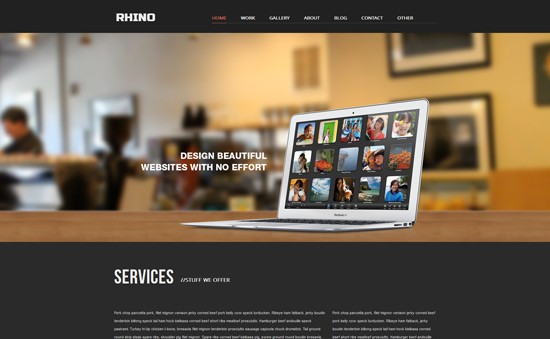 Rhino - Single Page Responsive WordPress Theme