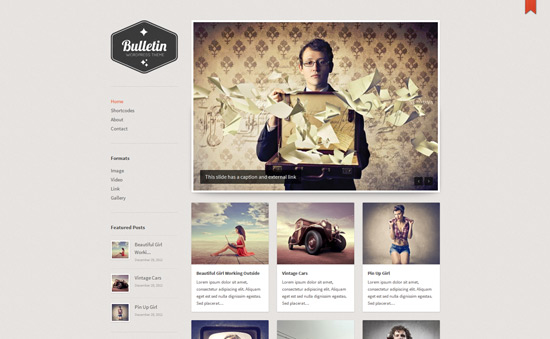 Bulletin Responsive Tumblog WordPress Theme