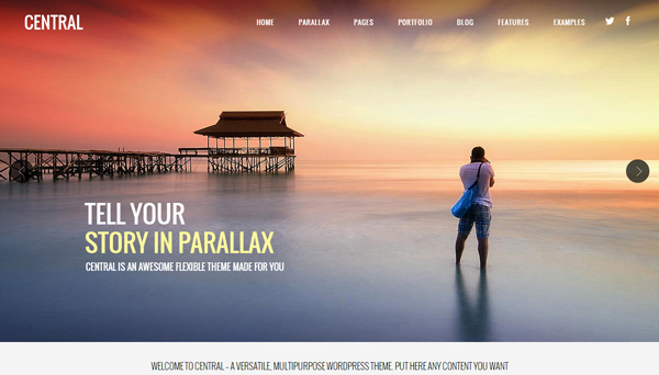 central wordpress theme 30 Powerful Premium WordPress Themes Built in May 2013