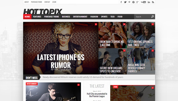 hot topix 30 Powerful Premium WordPress Themes Built in May 2013