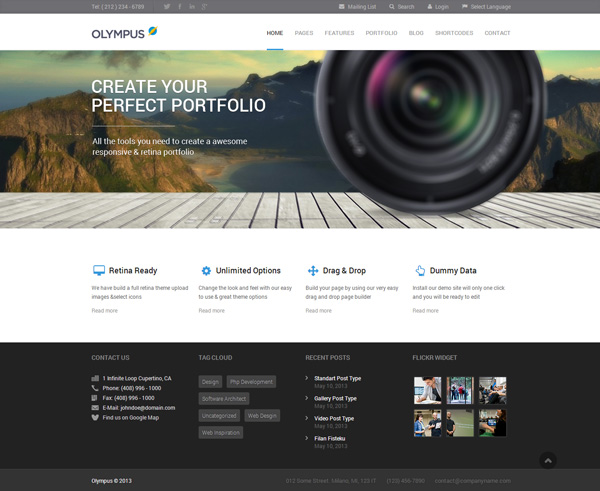 olympus 30 Powerful Premium WordPress Themes Built in May 2013