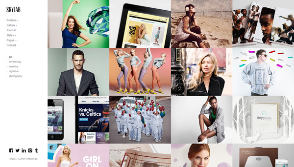 skylab 30 Powerful Premium WordPress Themes Built in May 2013