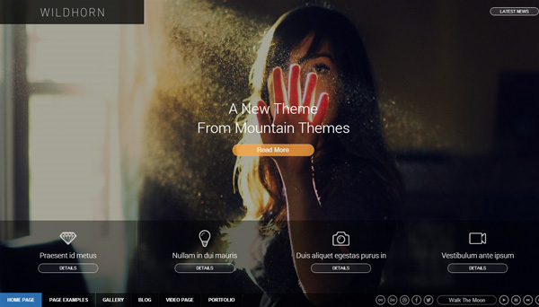 wildhorn wordpress theme 30 Powerful Premium WordPress Themes Built in May 2013
