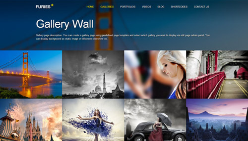 furies wordpress theme - Premium WordPress Themes 2013