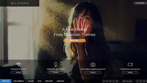 wildhorn wordpress theme - Premium WordPress Themes 2013