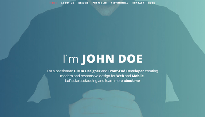 intima responsive resume portfolio wordpress