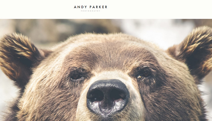 andy parker photography portfolio wp theme