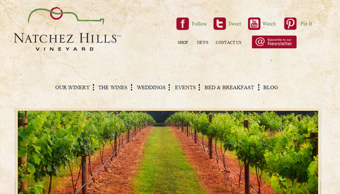 natchez hills vineyard grunge tan website