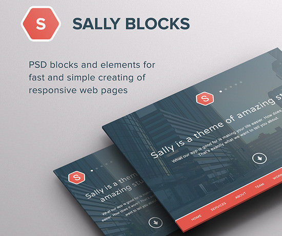 sally blocks