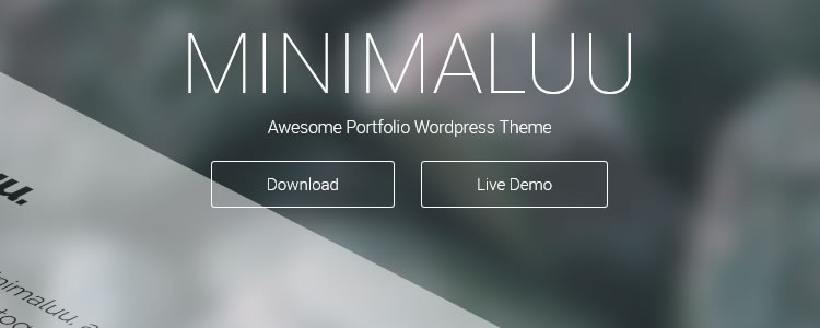 Minimaluu Portfolio Theme