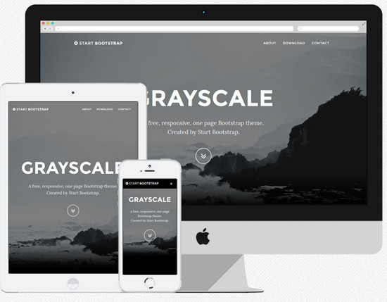 grayscale theme