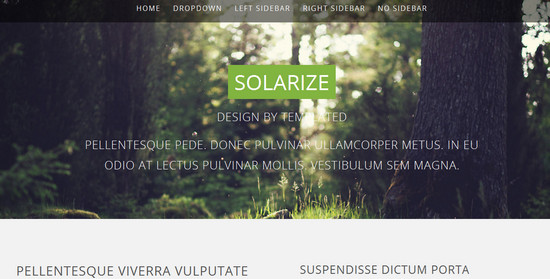 solarize - html5 template