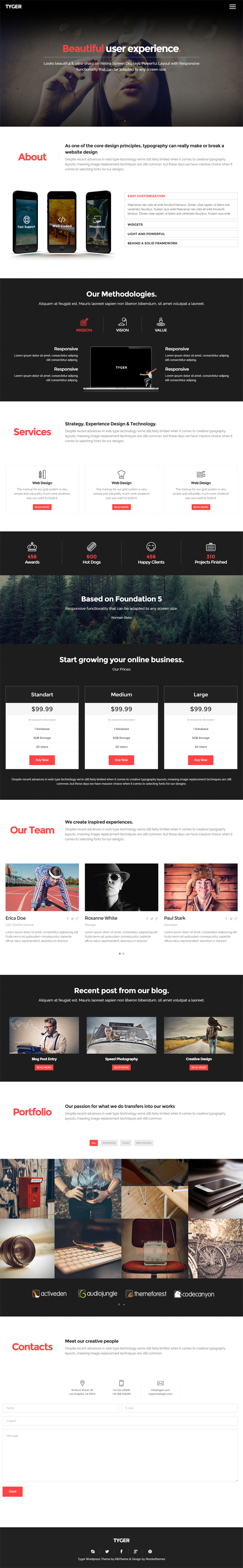 Tyger - Clean Corporate WordPress Theme