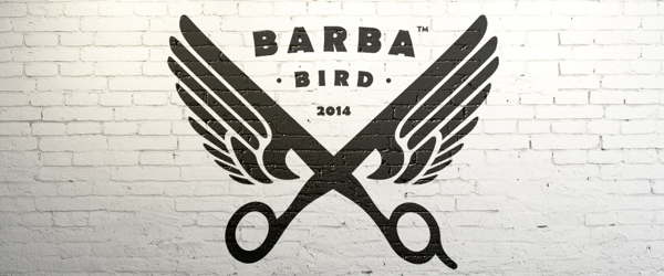 Barba Bird Identity Logo Design