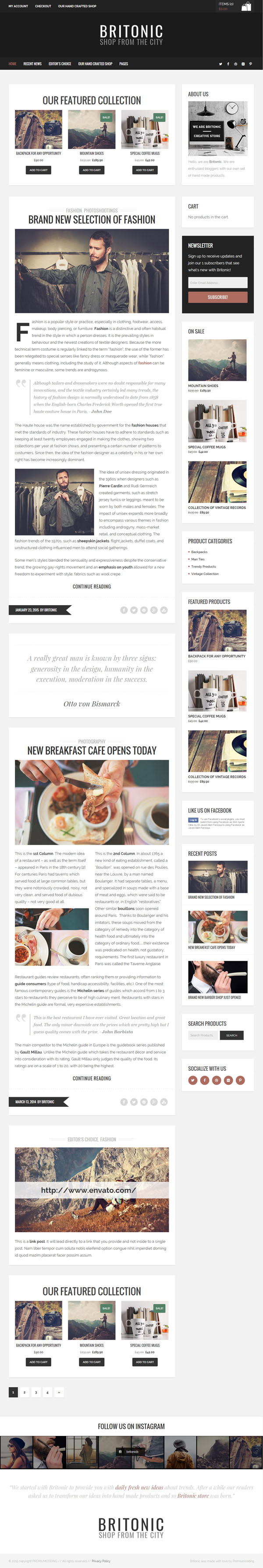 Britonic – An ecommerce WordPress Blog Theme