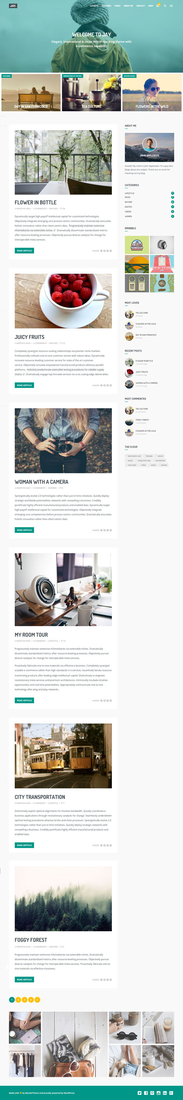 Jay – Elegant WordPress Blog Theme